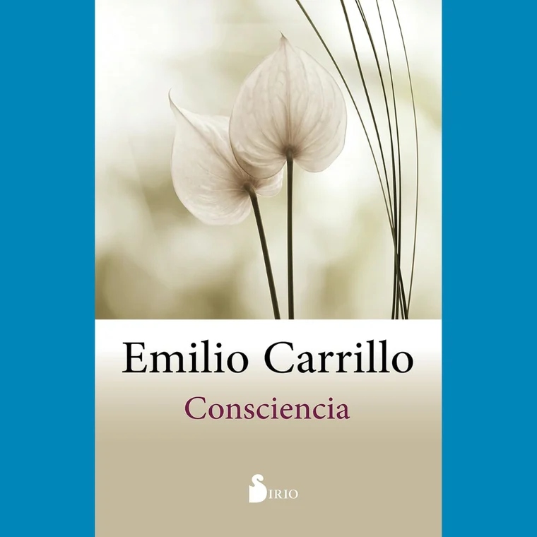 Consciencia: reseña rápida